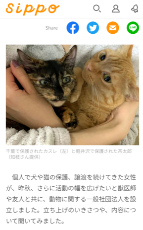 朝日新聞ペット情報サイト「sippo」にてワタデキが掲載されました。